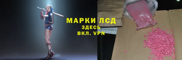 apvp Осинники