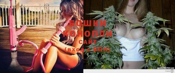 apvp Осинники