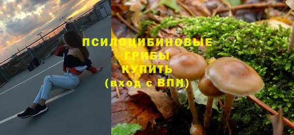apvp Осинники