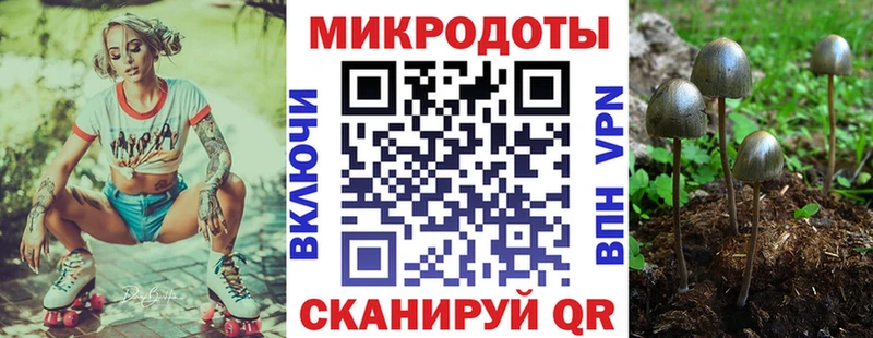 Псилоцибиновые грибы мухоморы  OMG ссылка  Владивосток 