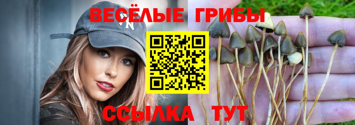 Галлюциногенные грибы мухоморы  Псилоцибиновые грибы прущие грибы  сколько стоит  Владивосток  Вход с VPN 
