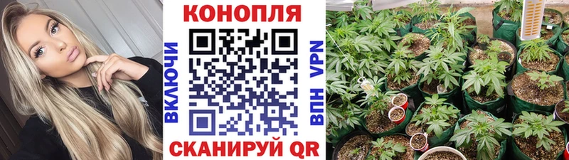 Каннабис индика  МЕГА ссылки  Владивосток  хочу наркоту 